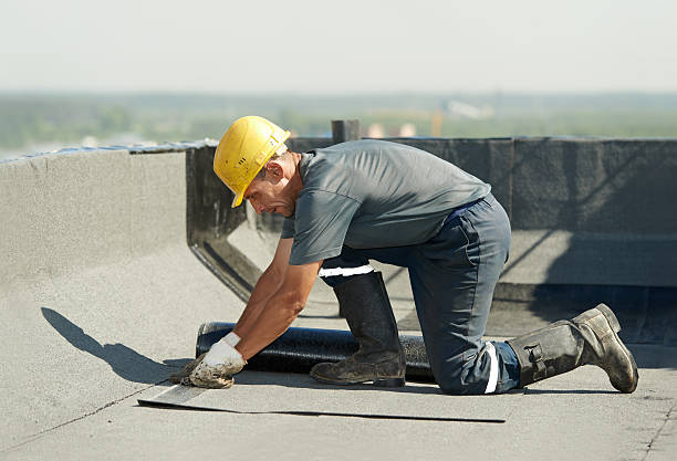 Best Attic Insulation Installation  in Brighton, IL